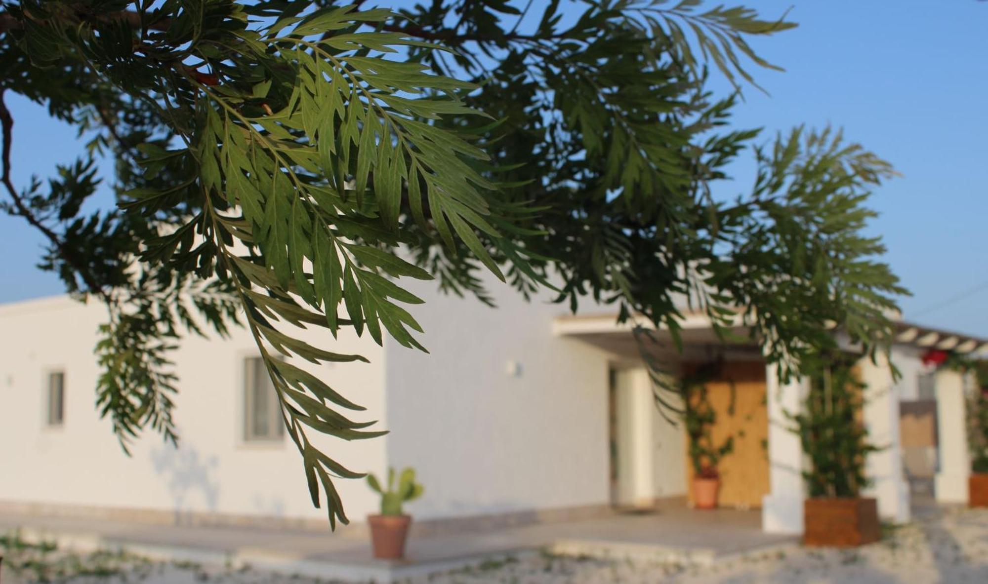 Villa Susca - Villa Sul Mare Monopoli Exterior foto